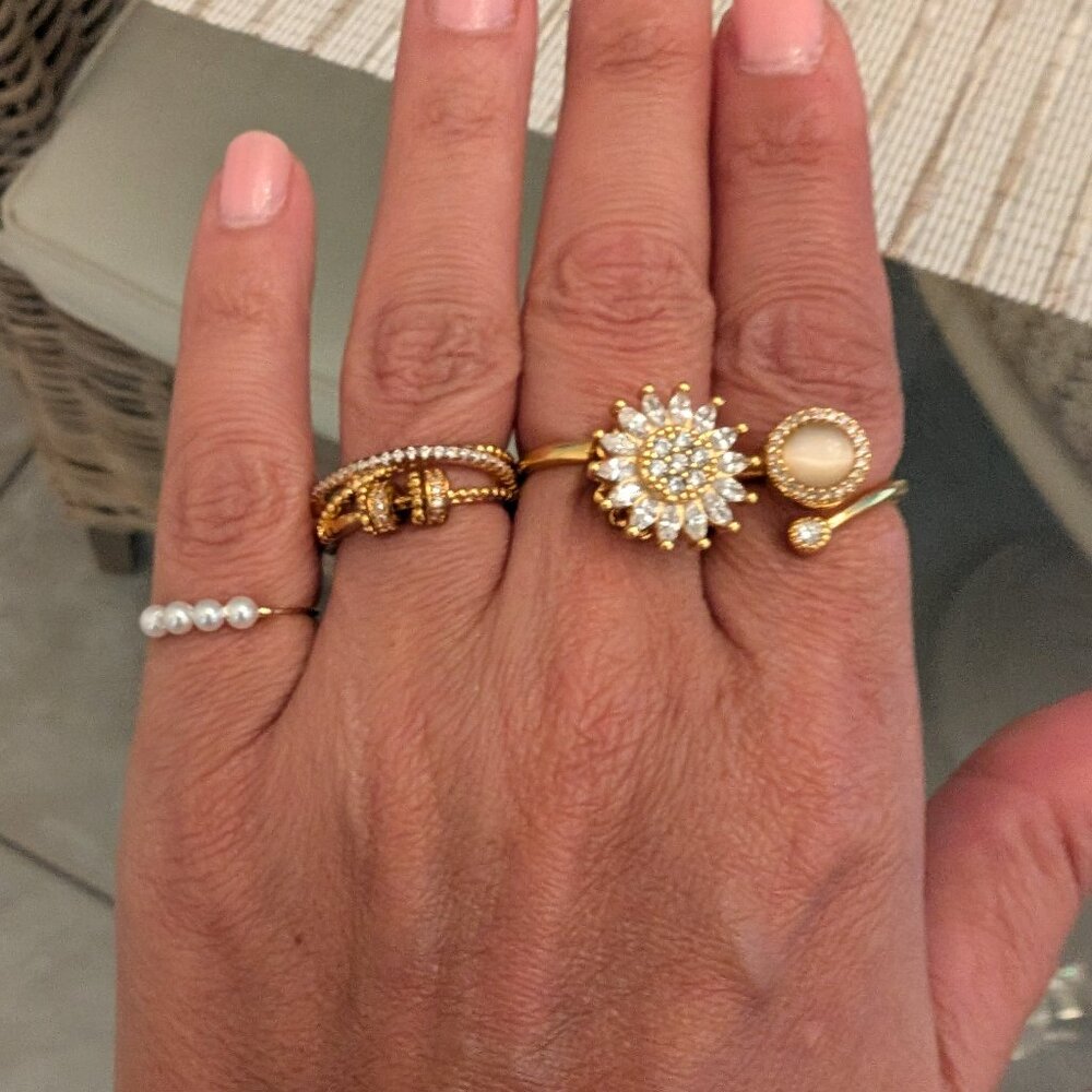 Fidget Rings Set of 4 (OS)